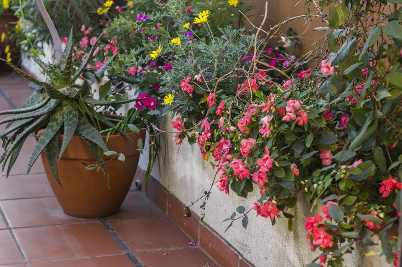 Abode Buenos Aires Bed & Breakfast Ngoại thất bức ảnh